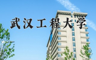 2025年武汉工程大学在河南计划招生人数（附学费及专业录取分)
