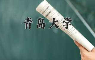 2025年青岛大学在新疆计划招生人数（附学费及专业录取分)