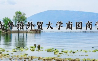 2025年广东外语外贸大学南国商学院在河南计划招生人数（附学费及专业录取分)