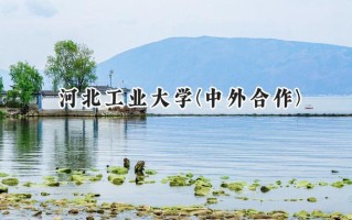 2024河北工业大学(中外合作)录取分数线：山西最低550分