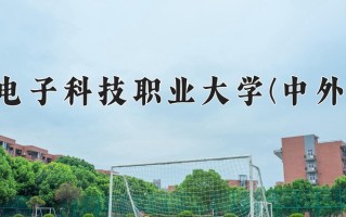 2025年重庆电子科技职业大学(中外合作)在重庆计划招生人数（附学费及专业录取分)