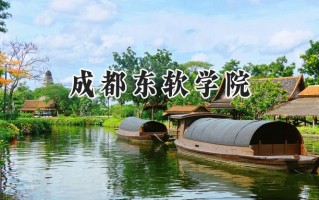 2024成都东软学院录取分数线：山西最低406分
