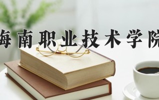 2025年海南职业技术学院在四川计划招生人数（附学费及专业录取分)