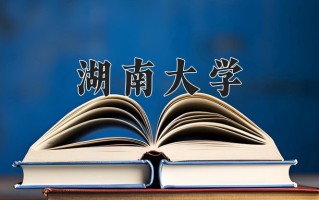 2025年湖南大学在四川计划招生人数（附学费及专业录取分)