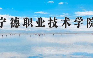 2025年宁德职业技术学院在河南计划招生人数（附学费及专业录取分)
