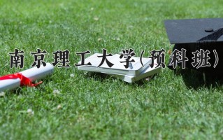 2025年南京理工大学(预科班)在重庆计划招生人数（附学费及专业录取分)