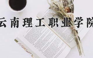 2025年云南理工职业学院在河南计划招生人数（附学费及专业录取分)