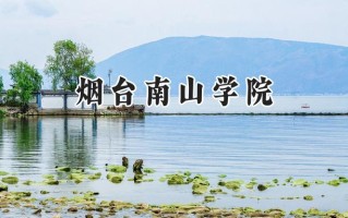 烟台南山学院2024在福建录取分数线是多少？最低427分/最高490分