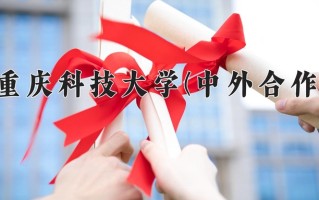 2025年重庆科技大学(中外合作)在重庆计划招生人数（附学费及专业录取分)