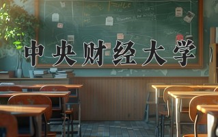 2025年中央财经大学在四川计划招生人数（附学费及专业录取分)