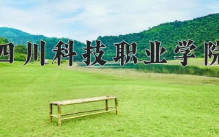 2025年四川科技职业学院在新疆计划招生人数（附学费及专业录取分)