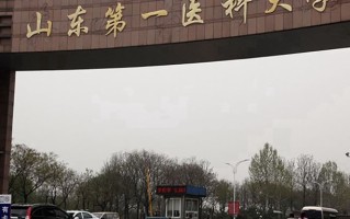 2024年山东第一医科大学录取分数线，河北最低521分