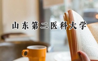山东第二医科大学2024在浙江录取分数线是多少？最低489分/最高615分