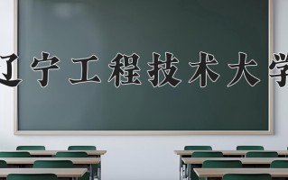2025年辽宁工程技术大学在新疆计划招生人数（附学费及专业录取分)