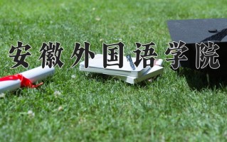 2025年安徽外国语学院在四川计划招生人数（附学费及专业录取分)