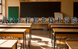 2025年武汉工程职业技术学院在四川计划招生人数（附学费及专业录取分)