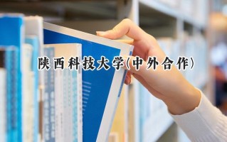 2024陕西科技大学(中外合作)录取分数线：河南最低534分