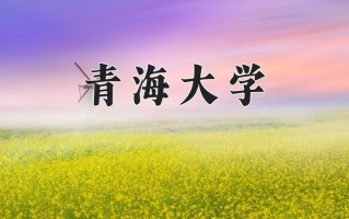 2025年青海大学在四川计划招生人数（附学费及专业录取分)