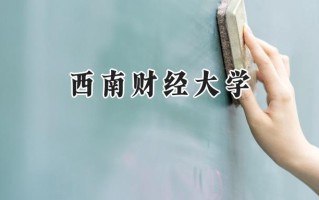 2024西南财经大学录取分数线：新疆最低506分