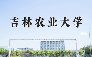 2025年吉林农业大学在新疆计划招生人数（附学费及专业录取分)