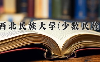 2025年西北民族大学(少数民族)在重庆计划招生人数（附学费及专业录取分)