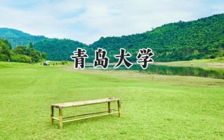 2024青岛大学录取分数线：天津最低563分