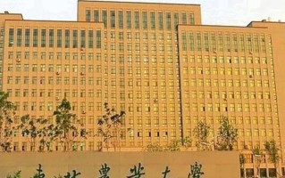 2025年东北农业大学学科排名（全国第四轮评估结果）