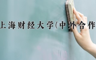2025年上海财经大学(中外合作)在重庆计划招生人数（附学费及专业录取分)