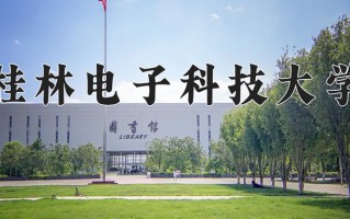 2024年桂林电子科技大学录取分数线，新疆最低426分