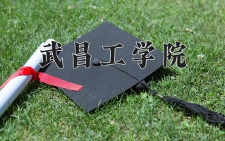 2025年武昌工学院在河南计划招生人数（附学费及专业录取分)