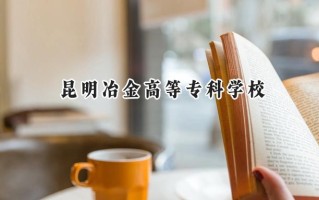 2024昆明冶金高等专科学校录取分数线：河南最低308分