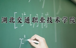 2025年湖北交通职业技术学院在新疆计划招生人数（附学费及专业录取分)