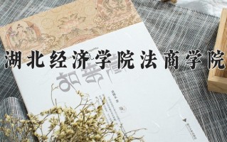 2025年湖北经济学院法商学院在河南计划招生人数（附学费及专业录取分)