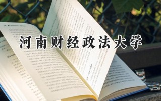2024河南财经政法大学录取分数线：新疆最低418分