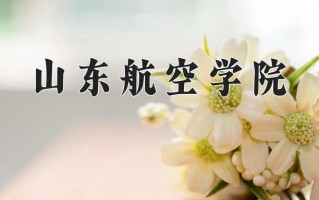 2025年山东航空学院在河南计划招生人数（附学费及专业录取分)