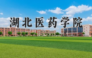 2025年湖北医药学院在四川计划招生人数（附学费及专业录取分)