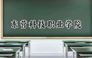 2024东营科技职业学院录取分数线：河南最低190分