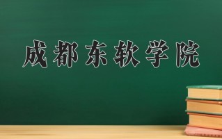 2025年成都东软学院在四川计划招生人数（附学费及专业录取分)