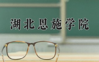 2025年湖北恩施学院在河南计划招生人数（附学费及专业录取分)