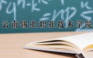 云南锡业职业技术学院学费多少钱一年：5800-7800元/年（2025填报参考）