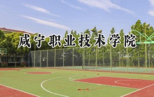咸宁职业技术学院2024在青海录取分数线是多少？最低265分/最高332分