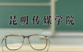 2025年昆明传媒学院在四川计划招生人数（附学费及专业录取分)