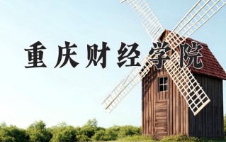 2025年重庆财经学院在四川计划招生人数（附学费及专业录取分)
