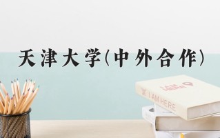 2025年天津大学(中外合作)在重庆计划招生人数（附学费及专业录取分)