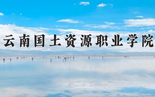 2025年云南国土资源职业学院在四川计划招生人数（附学费及专业录取分)