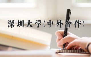 2025年深圳大学(中外合作)在重庆计划招生人数（附学费及专业录取分)