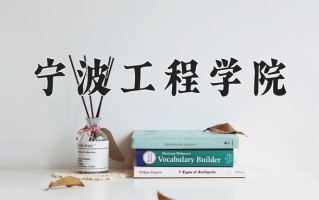 2025年宁波工程学院在四川计划招生人数（附学费及专业录取分)