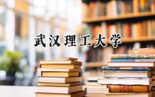 武汉理工大学2024在江苏录取分数线是多少？最低586分/最高640分