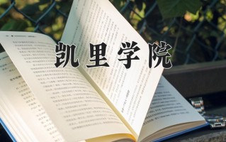 2025年凯里学院在四川计划招生人数（附学费及专业录取分)