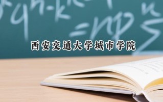 2024西安交通大学城市学院录取分数线：河南最低458分